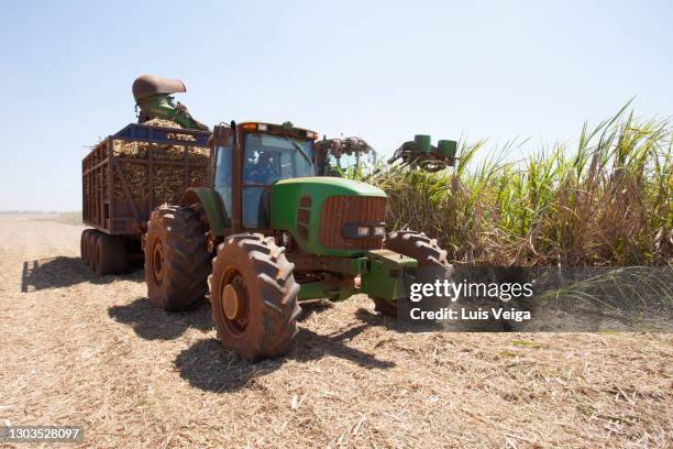 ribeirao preto, sao paulo state, brazil – february 02, 2020: view of mechanized harvesting of sugar cane plantation in sao paulo state country side, brazil. - labrador preto fotografías e imágenes de stock