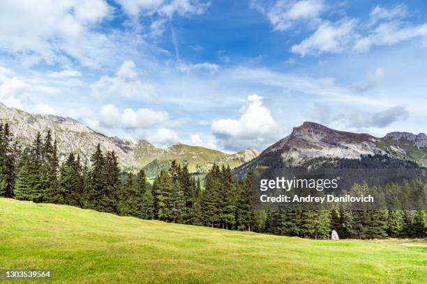 paesaggio montano - cime tra le nuvole contro il cielo blu. colline e montagne ricoperte di pineta in primo piano. - montagna foto e immagini stock