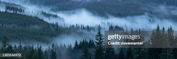 foggy forests and mountains - temperate climate stock pictures, royalty-free photos & images