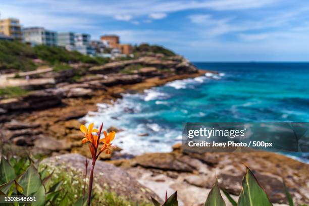 scenic view of sea and rocks against sky,bondi beach nueva gales del sur,australia - nueva gales del sur stock pictures, royalty-free photos & images