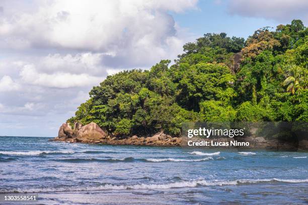 île de praia branca, guaruja, brésil. - mata atlantica photos et images de collection