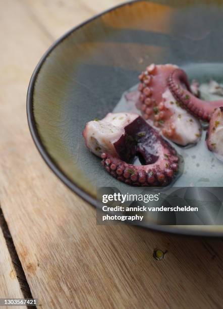 octopus apero - apero stock pictures, royalty-free photos & images