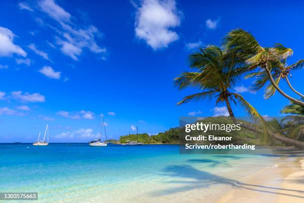 stunning saltwhistle bay, yachts, white sand beach, blue sea, overhanging palm trees, mayreau, grenadines, st. vincent and the grenadines, windward islands, west indies, caribbean, central america - st vincent stock pictures, royalty-free photos & images