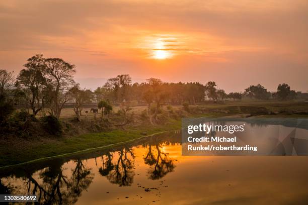 sunset over the brahmaputra river, kaziranga national park, unesco world heritage site, assam, india, asia - kaziranga national park stock-fotos und bilder
