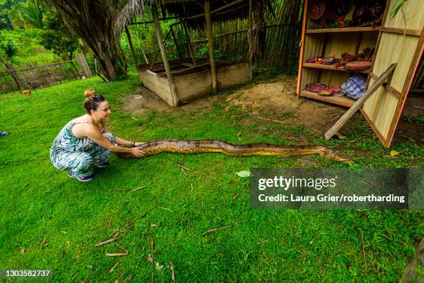 woman touching giant anaconda that was found at a local village, peru, south america - anaconda snake stock pictures, royalty-free photos & images