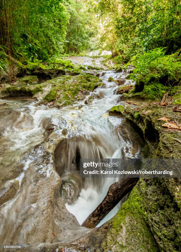 Reach Falls River, Portland Parish, Jamaica, West Indies, Caribbean, Central America