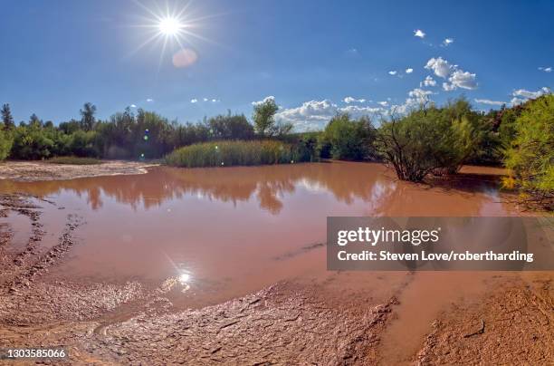 toxic pond formed from runoff of mine tailings at an abandoned copper mine in the prescott national forest near perkinsville, arizona, united states of america, north america - relave fotografías e imágenes de stock