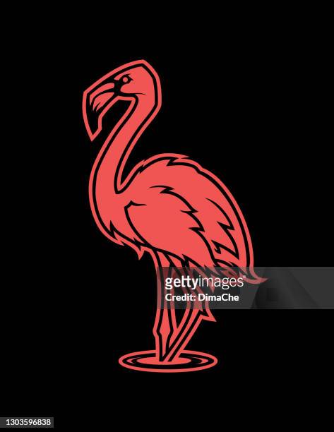 rosa flamingo silhouette auf dunklem hintergrund - flamingos stock-grafiken, -clipart, -cartoons und -symbole