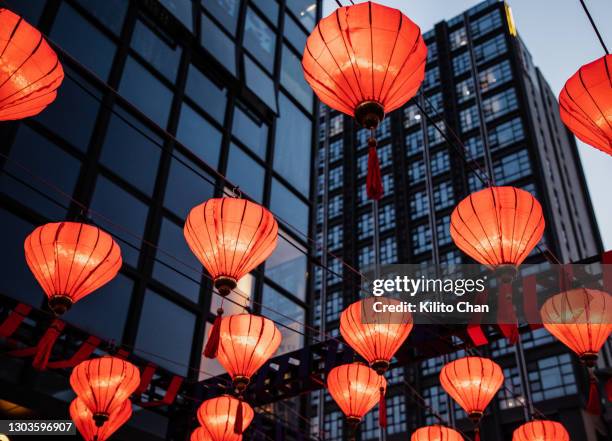 chinese new year celebration- low angle view of illuminated chinese lantern - rislampa bildbanksfoton och bilder