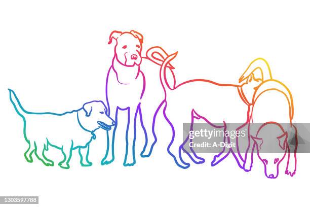 various dog breeds rainbow - dog park stock illustrations