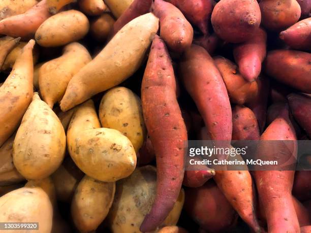 heaps of fresh organic white & sweet potatoes at market - american potato farm stockfoto's en -beelden