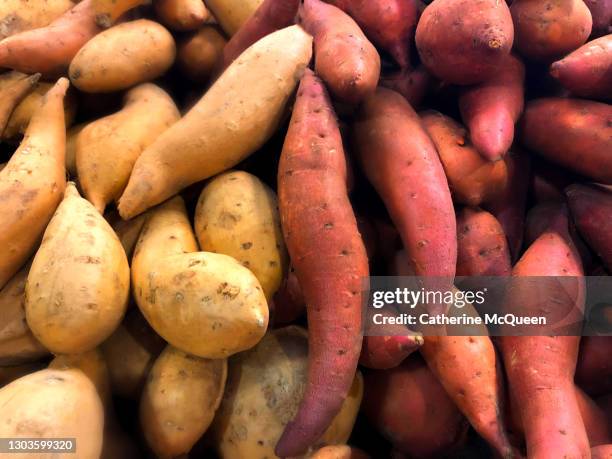 heaps of fresh organic white & sweet potatoes at market - sweet potato fries stock pictures, royalty-free photos & images