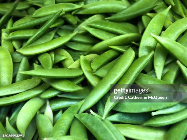 heap of fresh organic sugar snap peas at market - ärtskida bildbanksfoton och bilder