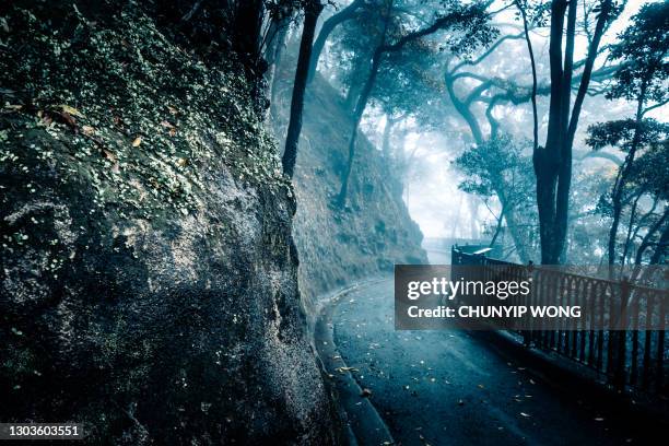 street in fog in hong kong victoria peak - dark country road stock pictures, royalty-free photos & images