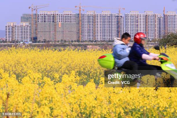 Rapeseed blossoms in a field with residential buildings under construction in the background on February 21, 2021 in Taihe County, Jiangxi Province...