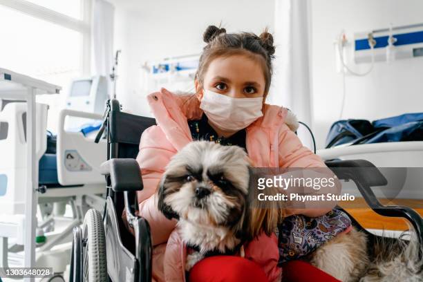 portrait of girl sitting on wheelchair in hospital with little dog - dog mask stock pictures, royalty-free photos & images
