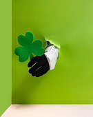 Storm trooper hand is holding green clover from bright green wall background.