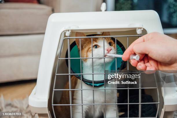tiempo para la medicina - cono fotografías e imágenes de stock