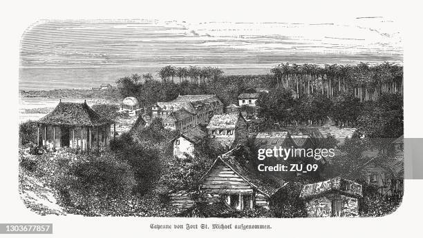 historical view of cayenne, french guiana, wood engraving, published 1893 - french guiana stock illustrations