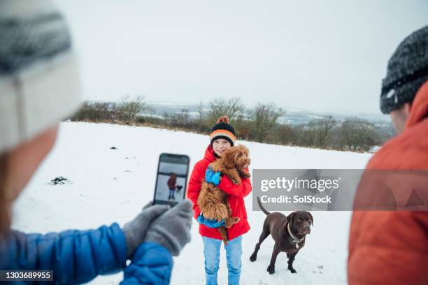 lassen sie uns ein foto mit den hunden machen - let it snow stock-fotos und bilder