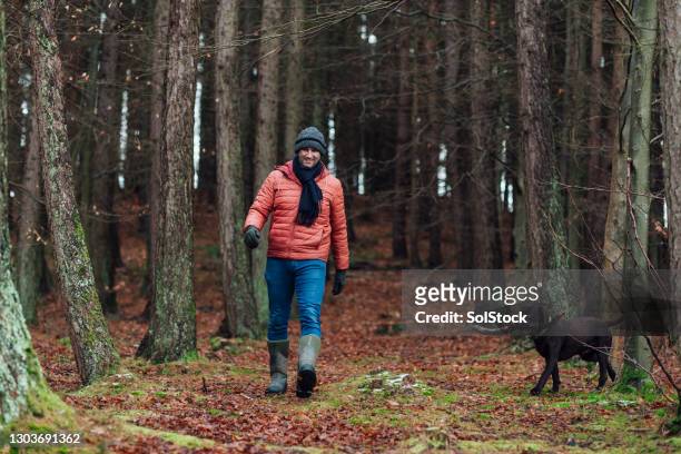 dog walks in the forest - mature adult walking dog stock pictures, royalty-free photos & images