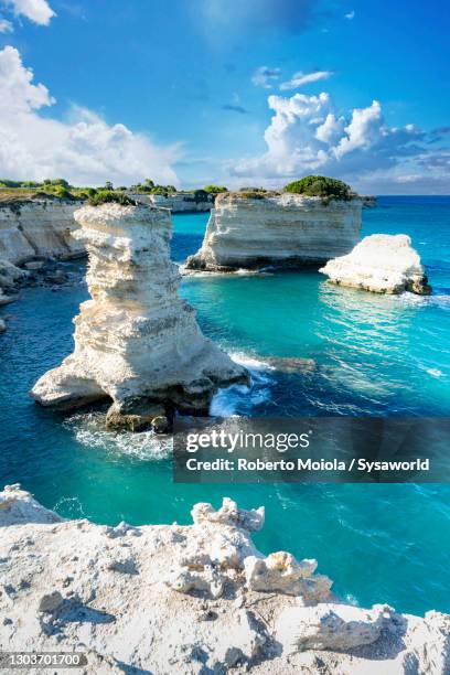 faraglioni of torre sant'andrea in turquoise sea, apulia - isola di capri 個照片及圖片檔