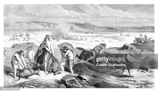 group of patagons warrior hunting guanaco and rhea in patagonia - guanaco stock illustrations