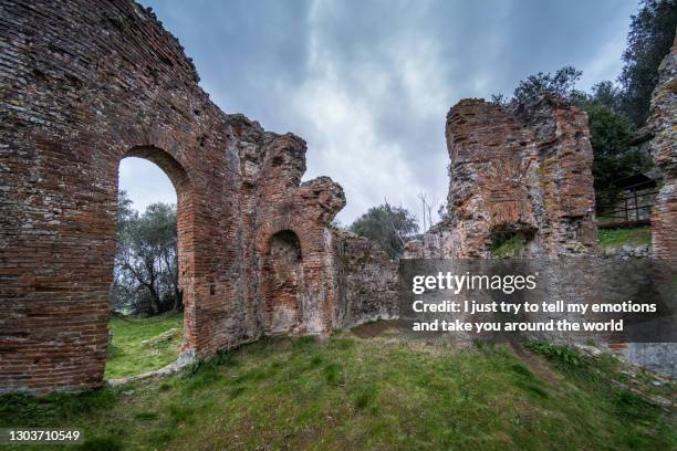 massaciuccoli lake, lucca - tuscany, italy - marsh stock pictures, royalty-free photos & images