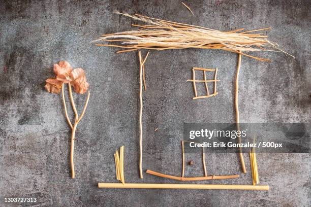 house made with sprigs of plants on gray background - ethereal building stock pictures, royalty-free photos & images