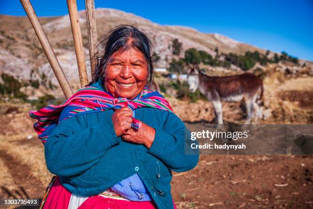 aymara frau auf der isla del sol, titicacasee, bolivien - bolivianischer abstammung stock-fotos und bilder