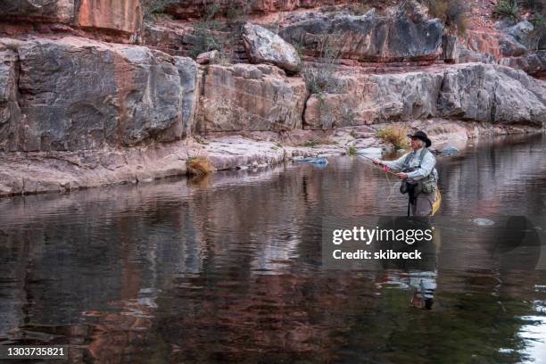 Senior Woman Flyfishing In Oak Creek Sedona Arizona High-Res Stock Photo -  Getty Images