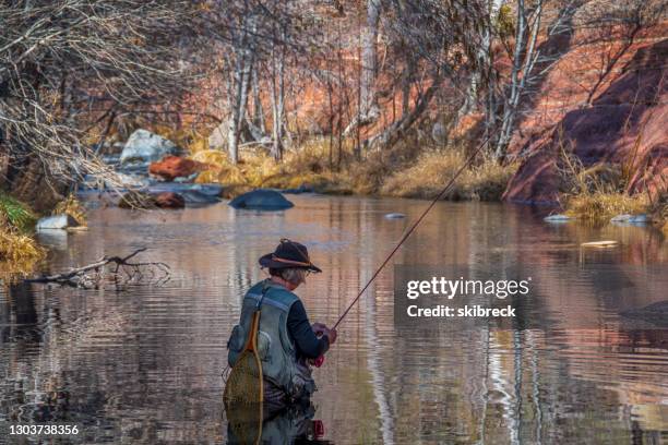 mujer mayor pesca con mosca en oak creek, sedona, arizona - oak creek canyon fotografías e imágenes de stock