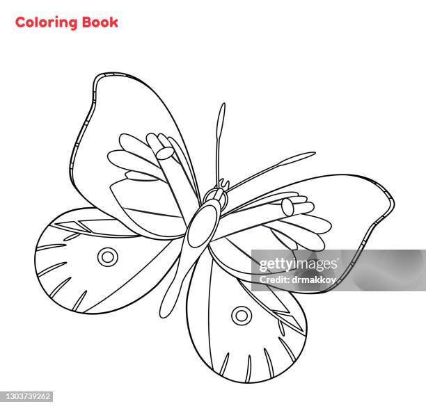 schmetterling färbung seite - malbuch stock-grafiken, -clipart, -cartoons und -symbole