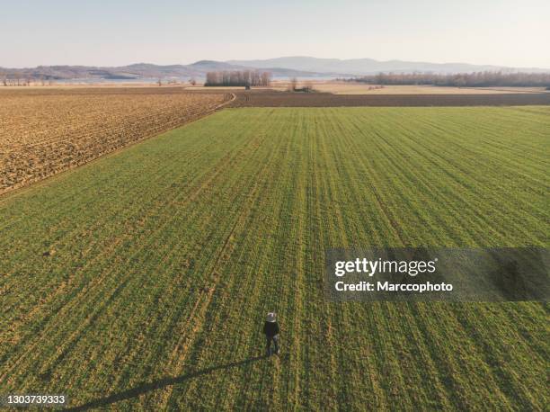Large Field 58,548 Big Field Stock Photos, High-Res Pictures, and Images - Getty Images