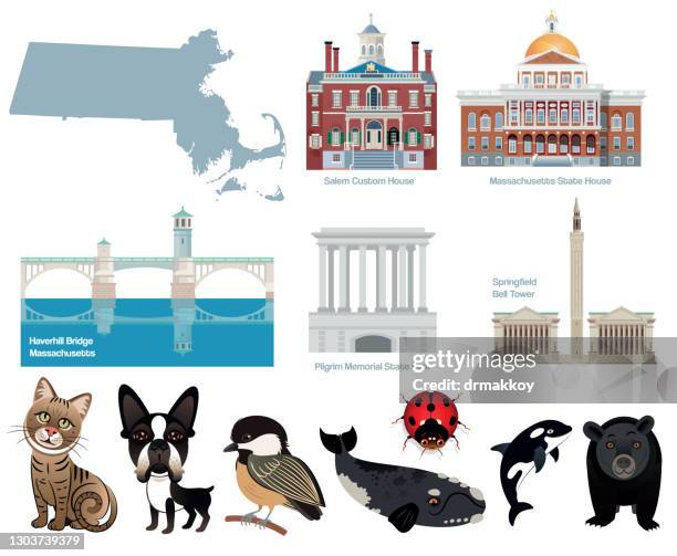 massachusetts symbols - terrier boston stock illustrations