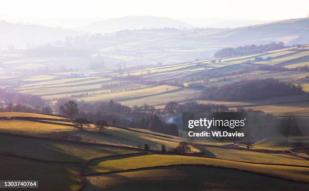 paesaggio rurale gallese - powys foto e immagini stock