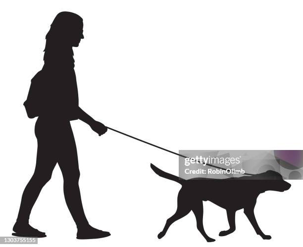 ilustraciones, imágenes clip art, dibujos animados e iconos de stock de chica paseando su silueta de perro - dog leash