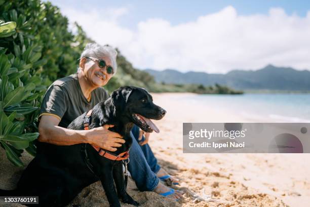 senior japanese man with dog on beach, japan - old asian man stockfoto's en -beelden