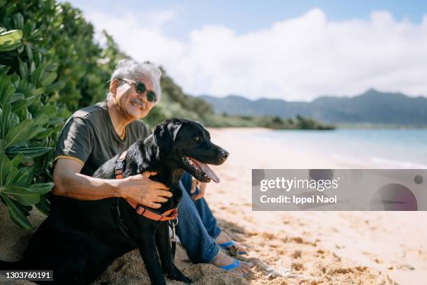 senior japanese man with dog on beach, japan - man and pet stock pictures, royalty-free photos & images