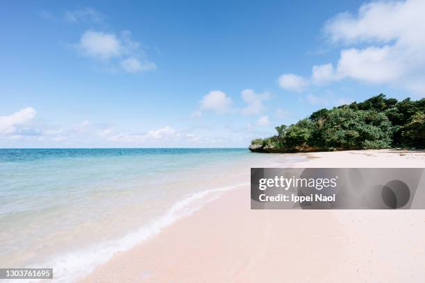 secluded tropical beach with clear water, ishigaki island, okinawa, japan - sunny beach fotografías e imágenes de stock