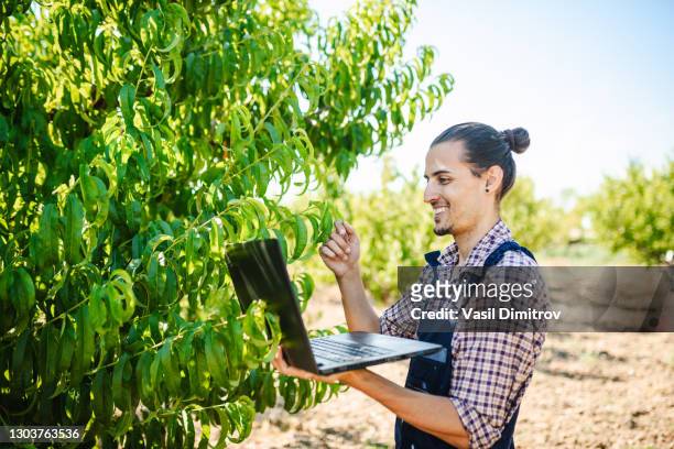 young farmer holding a laptop and examining a fruit tree leaves. - tree man syndrome stock pictures, royalty-free photos & images