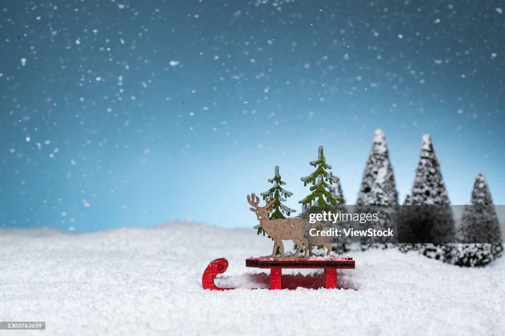 Snow in the pine trees and elk