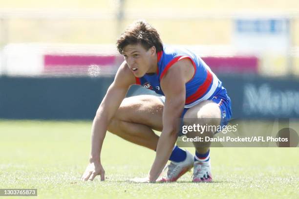 Laitham Vandermeer of the Bulldogs reacts after a contest during the AFL Practice Match between the Western Bulldogs and the Hawthorn Hawks at...
