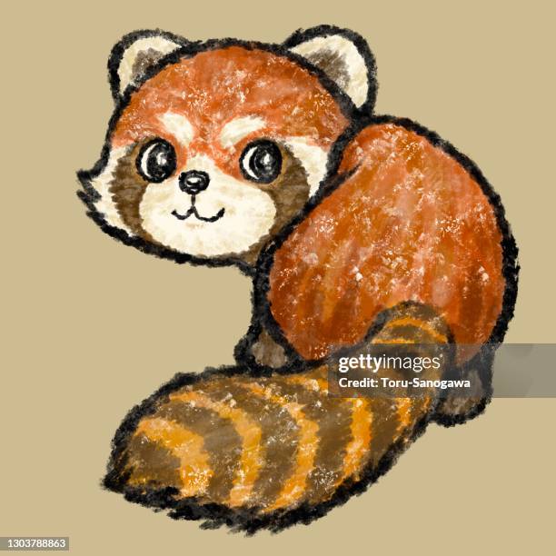 red panda looking back - red panda stock illustrations
