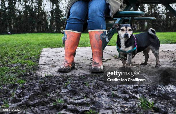 a woman with muddy orange wellies sits on a bench with her small dog. - woman dog bench stock pictures, royalty-free photos & images