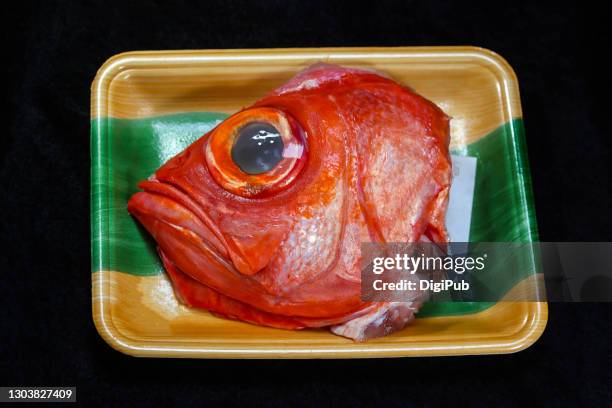 splendid alfonsino, fishhead - redfish stockfoto's en -beelden