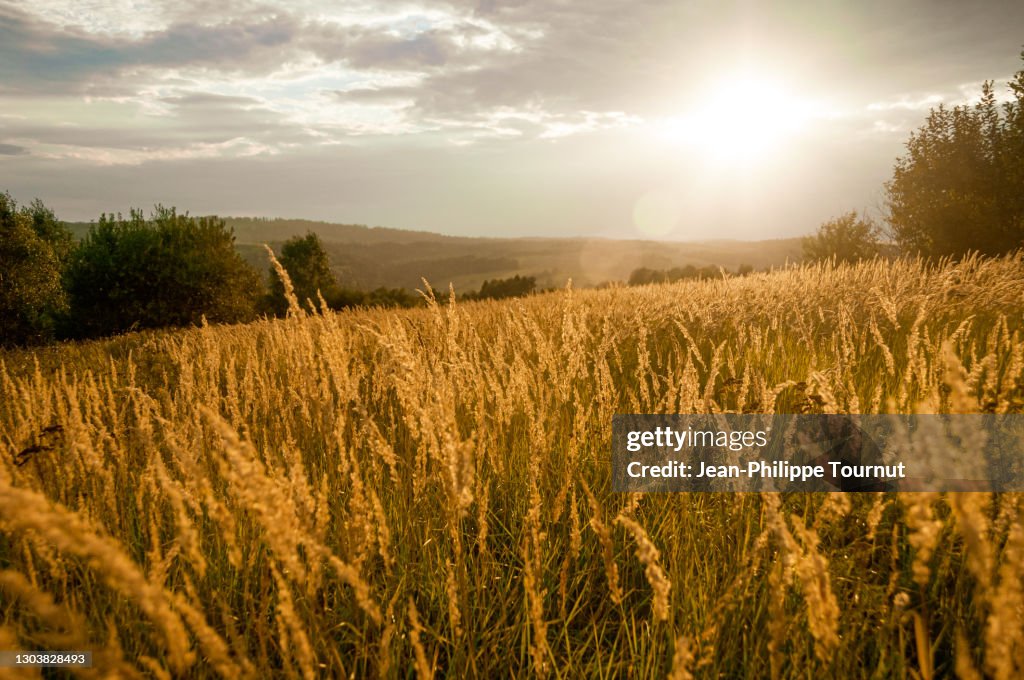 Sun piercing between the clouds, Golden Hour in Rural Southern Poland, Central Europe