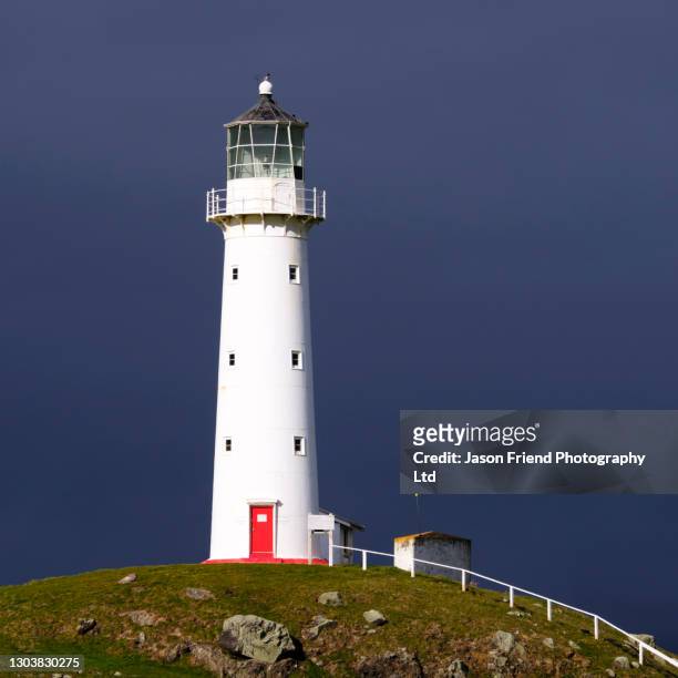 new zealand, north island, cape egmont lighthouse. - cape egmont lighthouse stock pictures, royalty-free photos & images