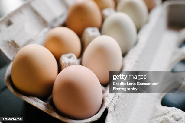 eggs in a carton - ovo de animal imagens e fotografias de stock