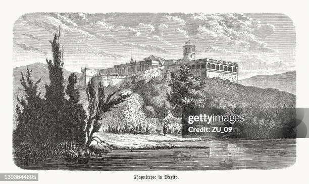 historical view of chapultepec castle, mexico city, woodcut, published i1893 - castillo de chapultepec stock illustrations